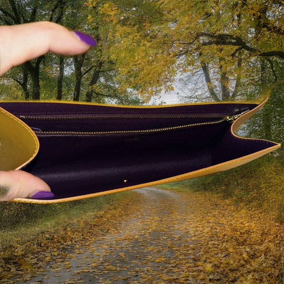 Louis Vuitton Clutch in Vibrant Winnipeg Sable - Picture 8 of 9